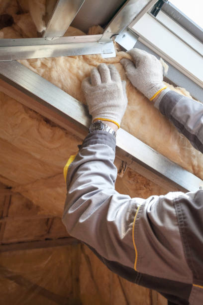 Best Insulation Maintenance and Repair in Newcomerstown, OH